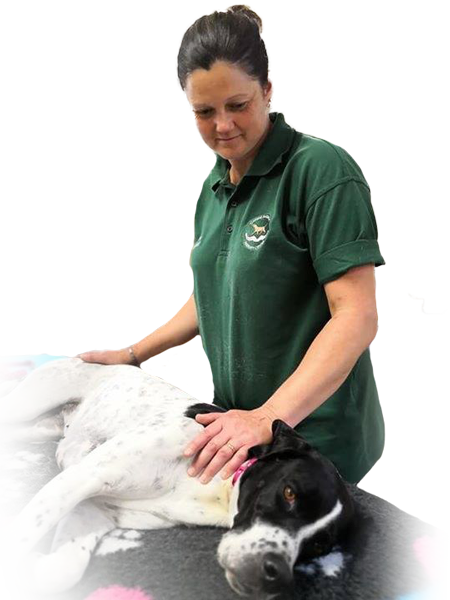 Louise Momentum Canine Massage