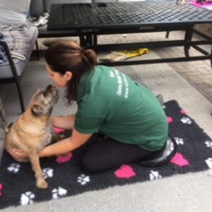 Clinical Canine Massage